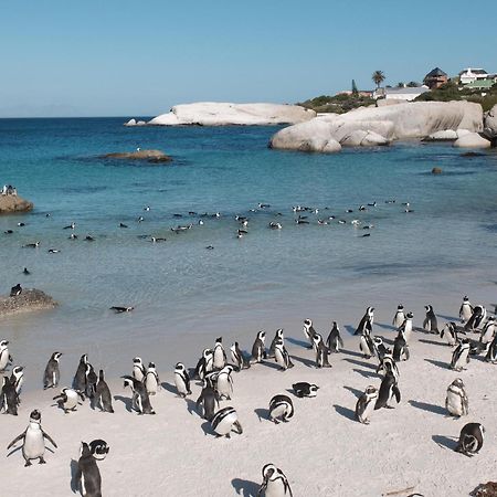 Penguin Haven . Luxury 2 Bedroom, Boulders Beach. Kapské Město Exteriér fotografie